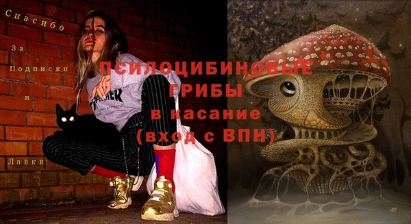 а пвп мука Аркадак