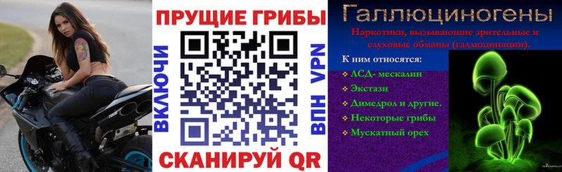 Галлюциногенные грибы прущие грибы  Гагарин 
